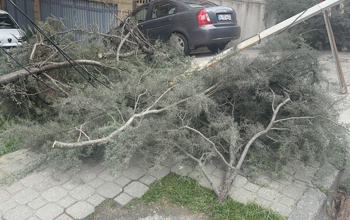 İstanbul'da etkisini sürdüren şiddetli lodos hayatı olumsuz etkiliyor